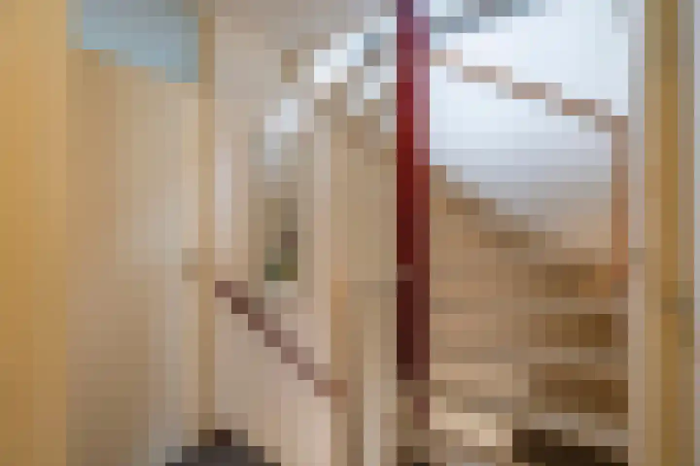 Silene 6 Venray thumbnail 22