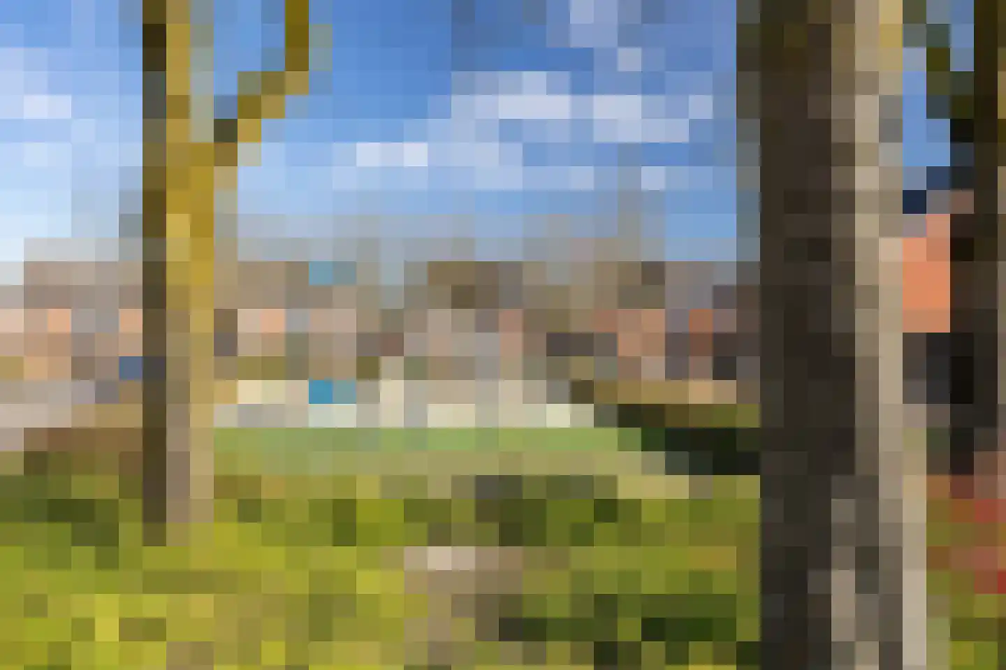 Silene 6 Venray thumbnail 4