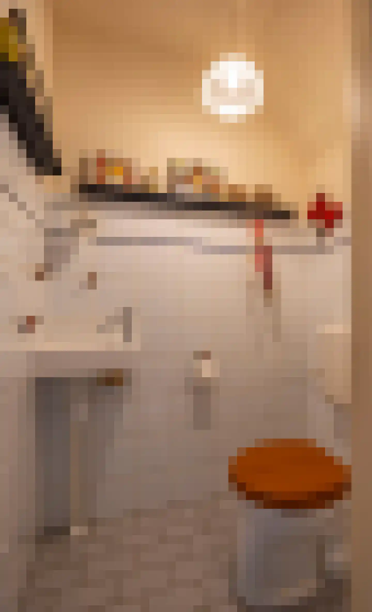 Silene 6 Venray thumbnail 8