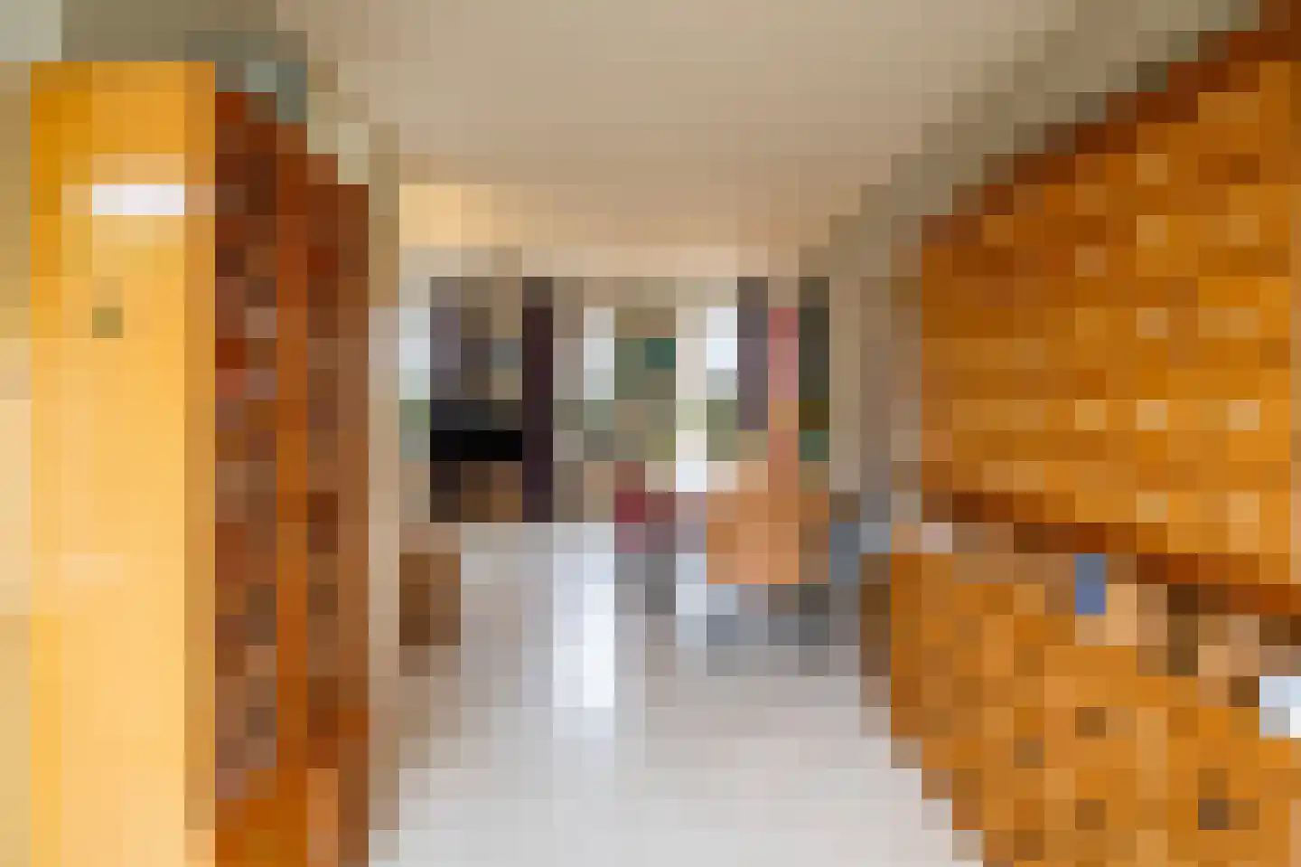 Silene 6 Venray thumbnail 9