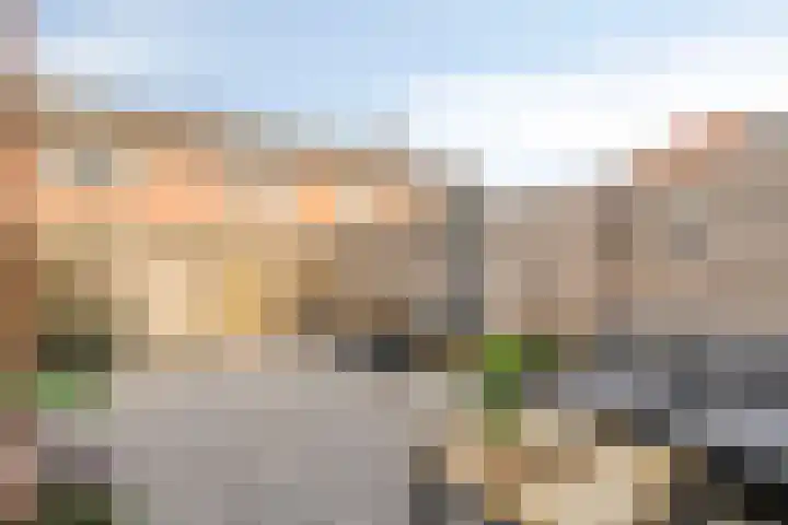 Silene 67 Kampen thumbnail 5