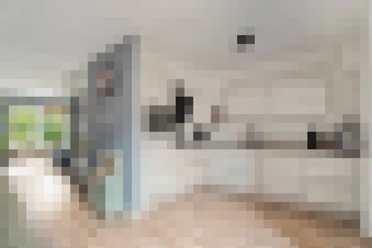 Silene 71 Kampen thumbnail 11