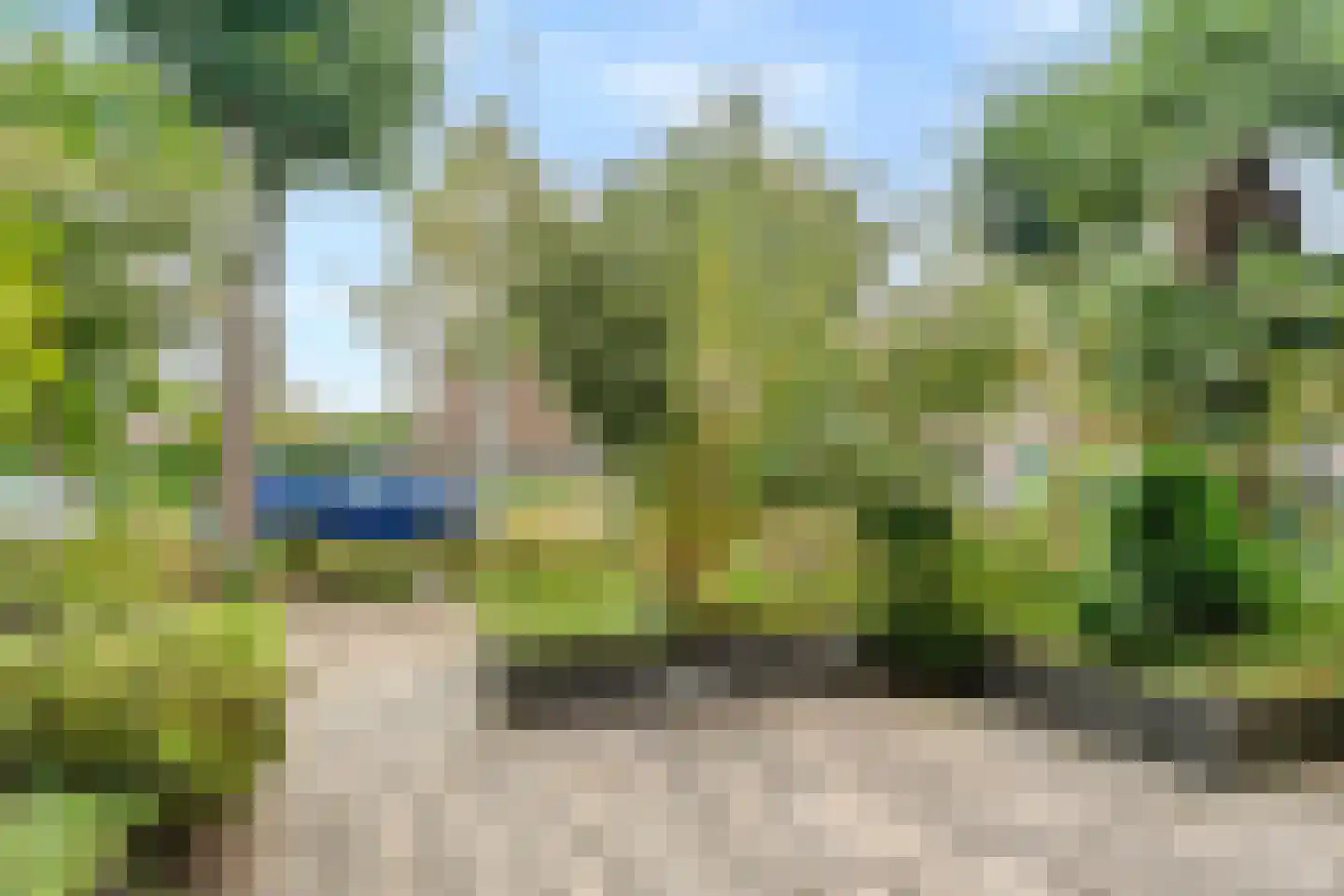 Silene 71 Kampen thumbnail 32