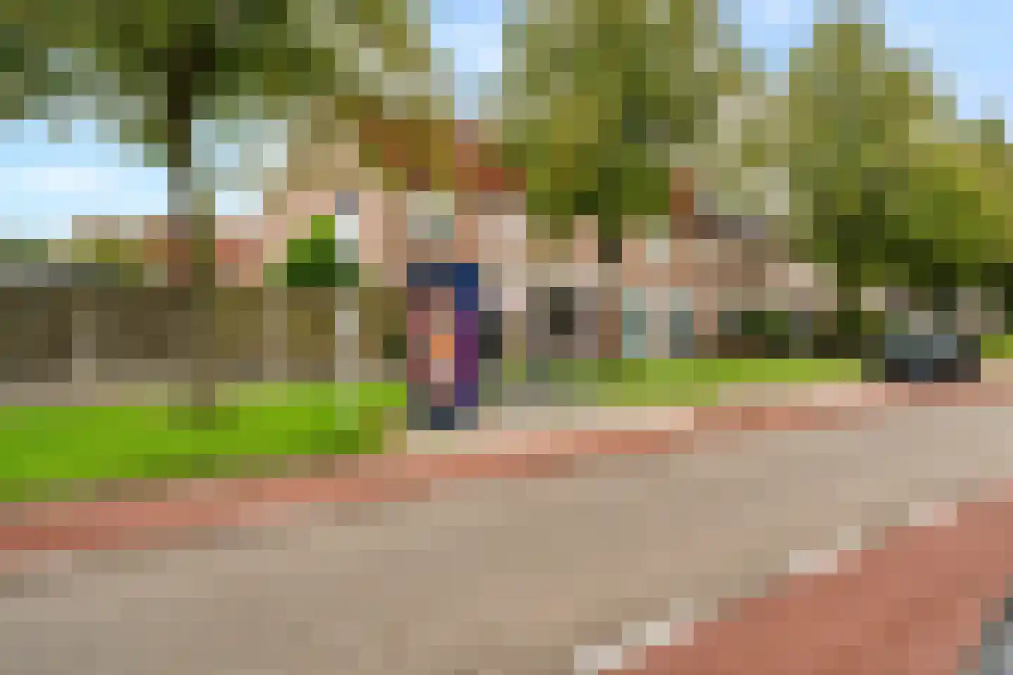 Silene 71 Kampen thumbnail 33