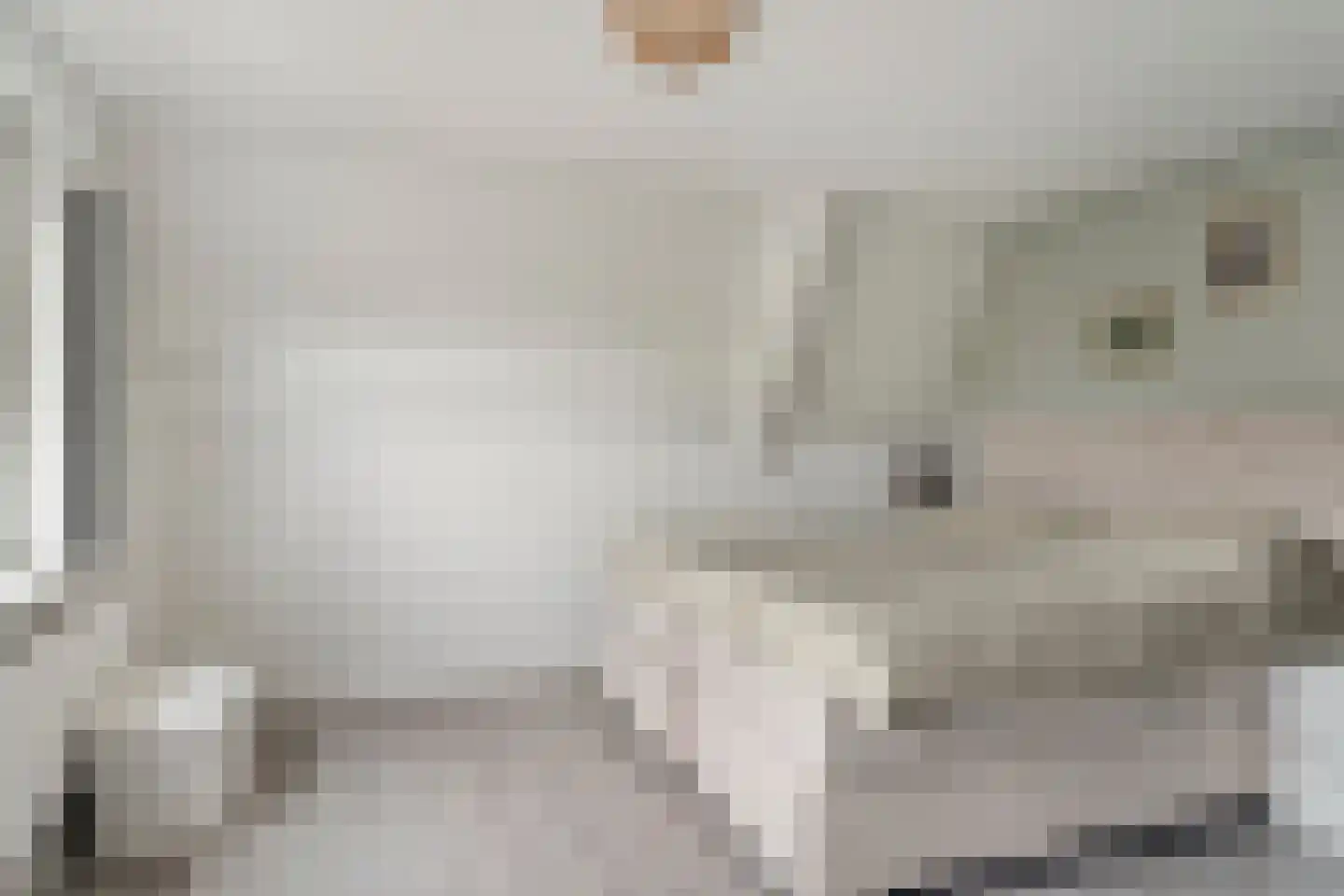 Silene 71 Kampen thumbnail 4