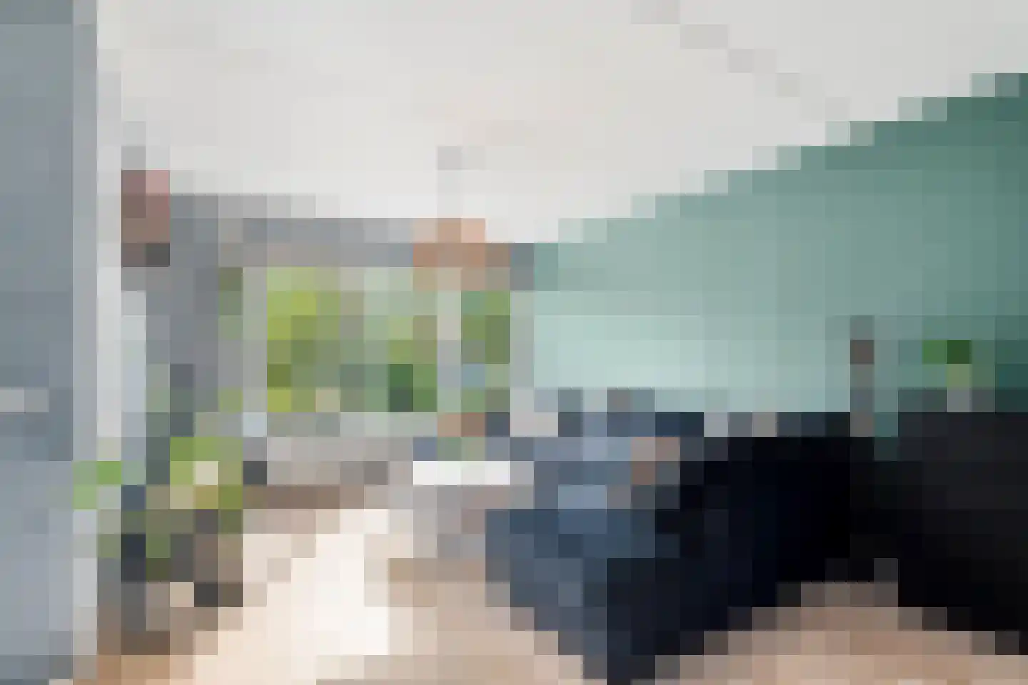 Silene 71 Kampen thumbnail 6