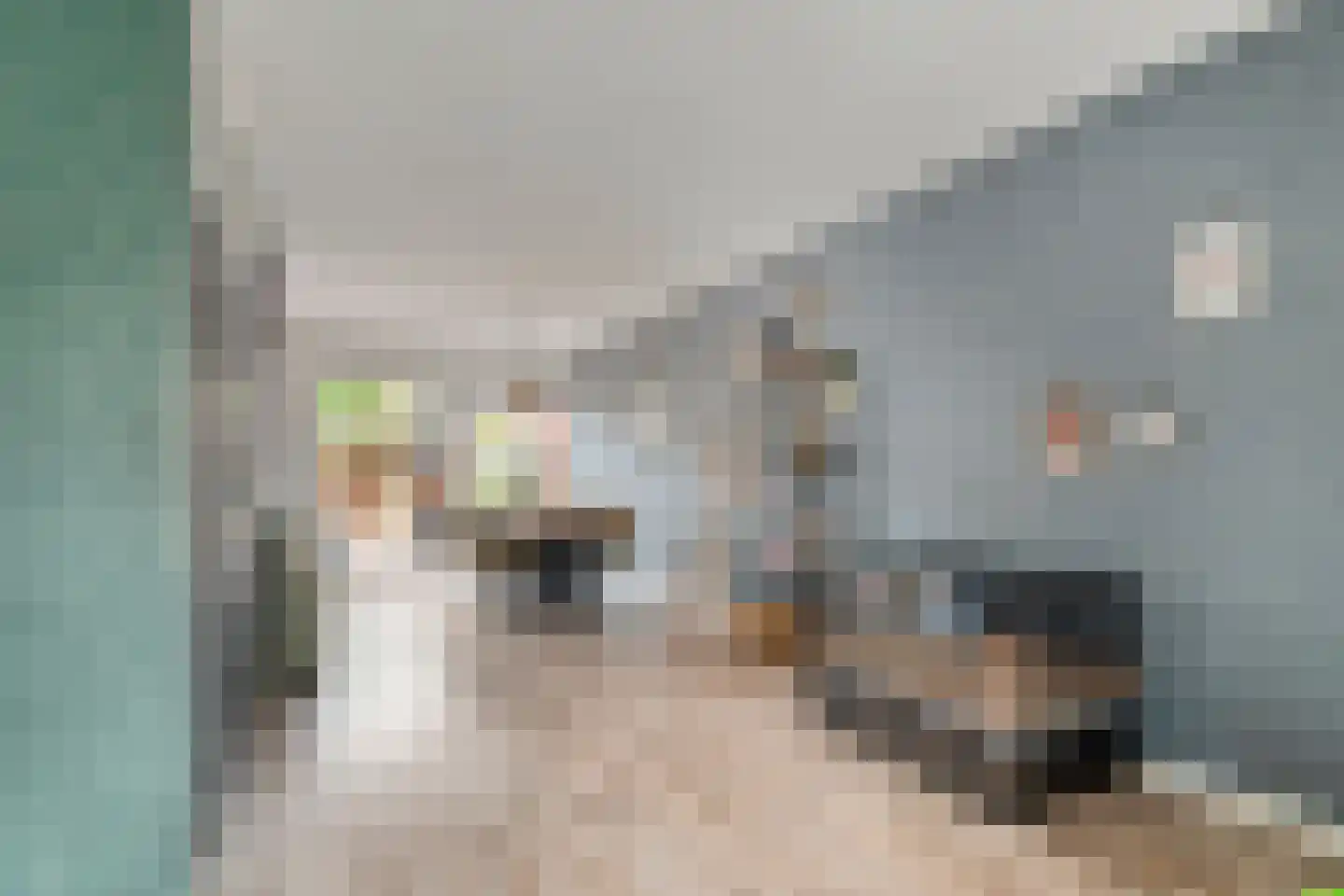Silene 71 Kampen thumbnail 8