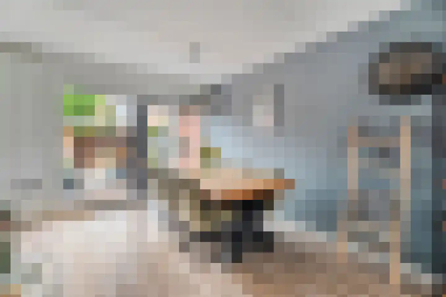 Silene 71 Kampen thumbnail 9