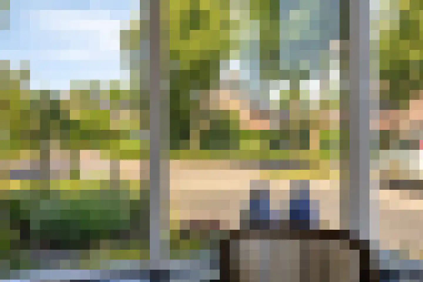 Silene 84 Kampen thumbnail 13