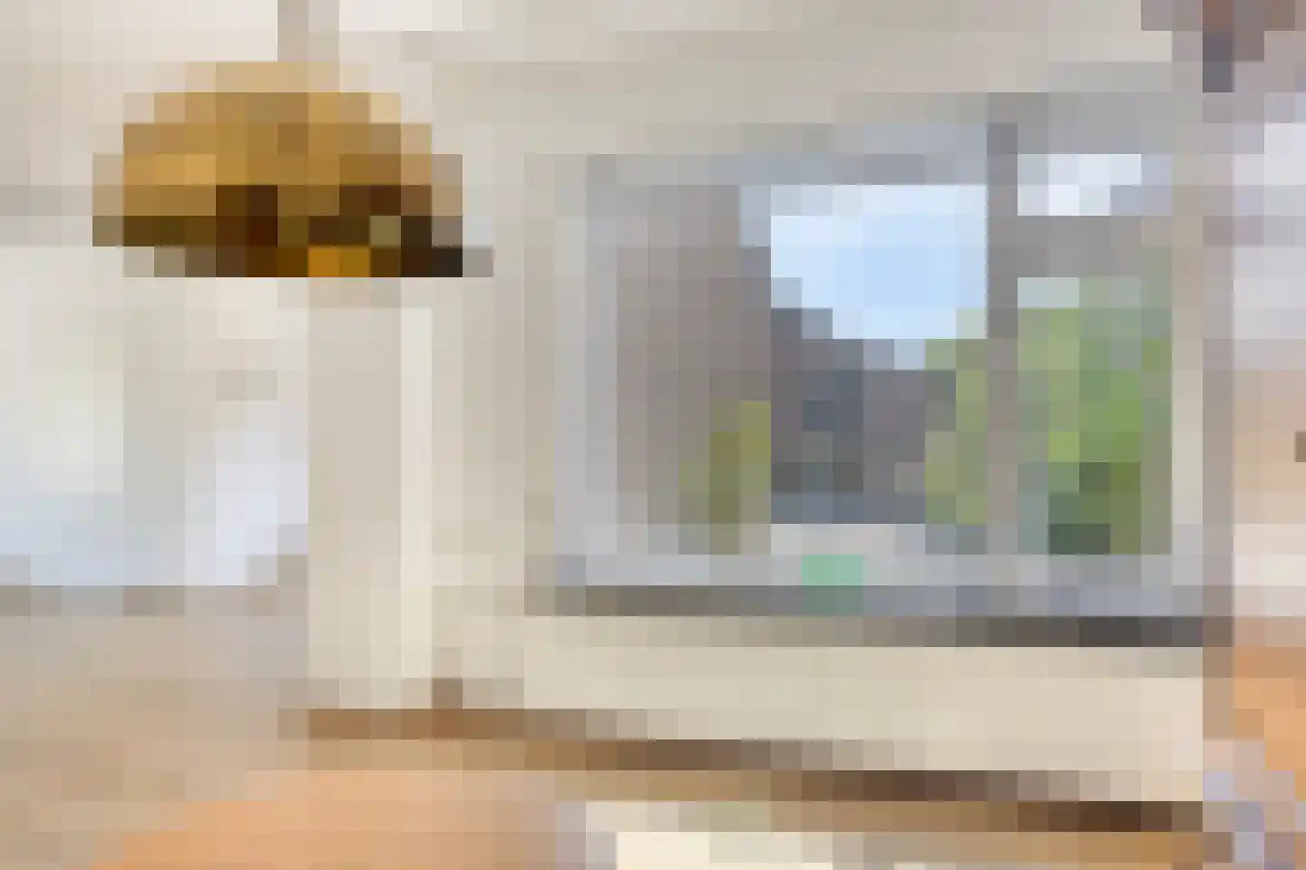 Silene 84 Kampen thumbnail 18