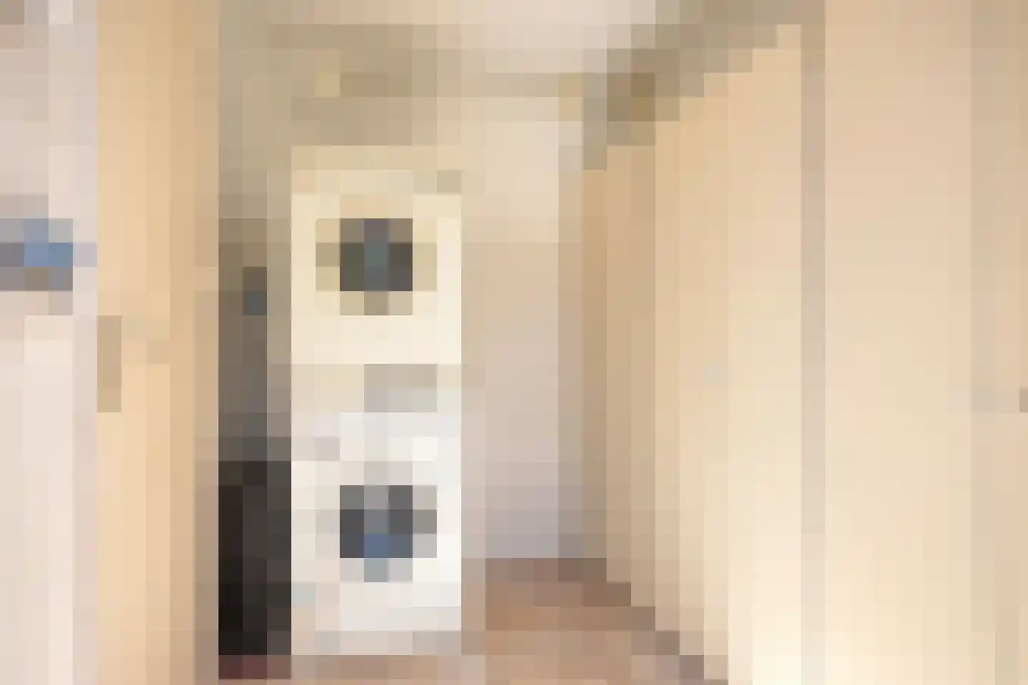Silene 84 Kampen thumbnail 21