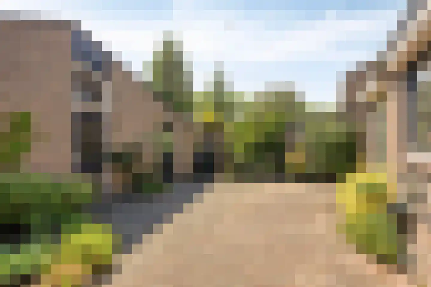 Silene 84 Kampen thumbnail 28