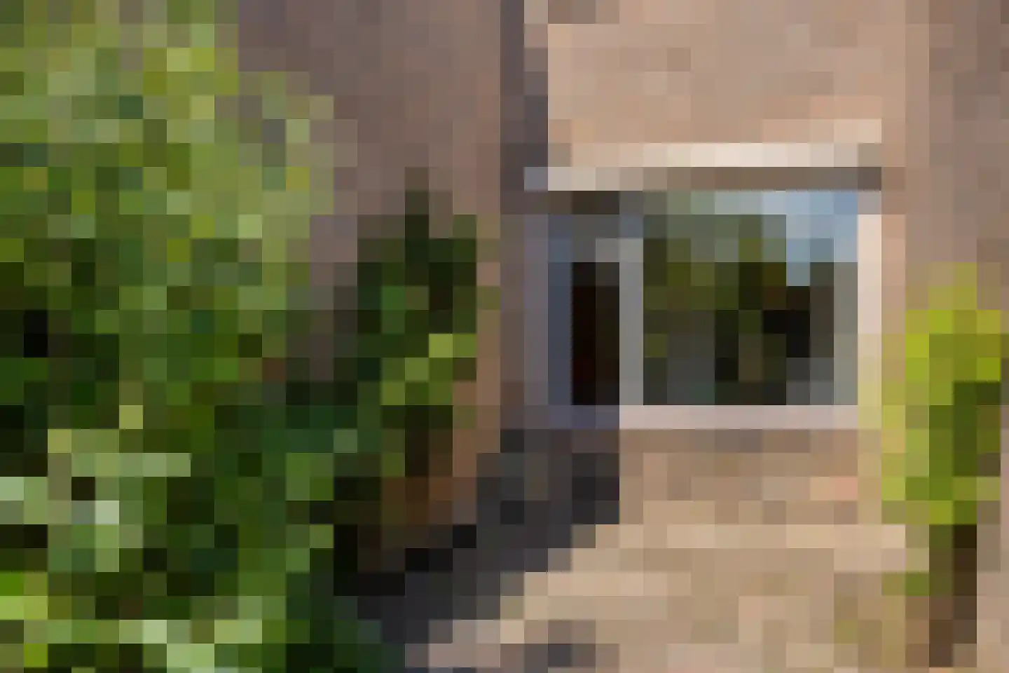 Silene 84 Kampen thumbnail 31