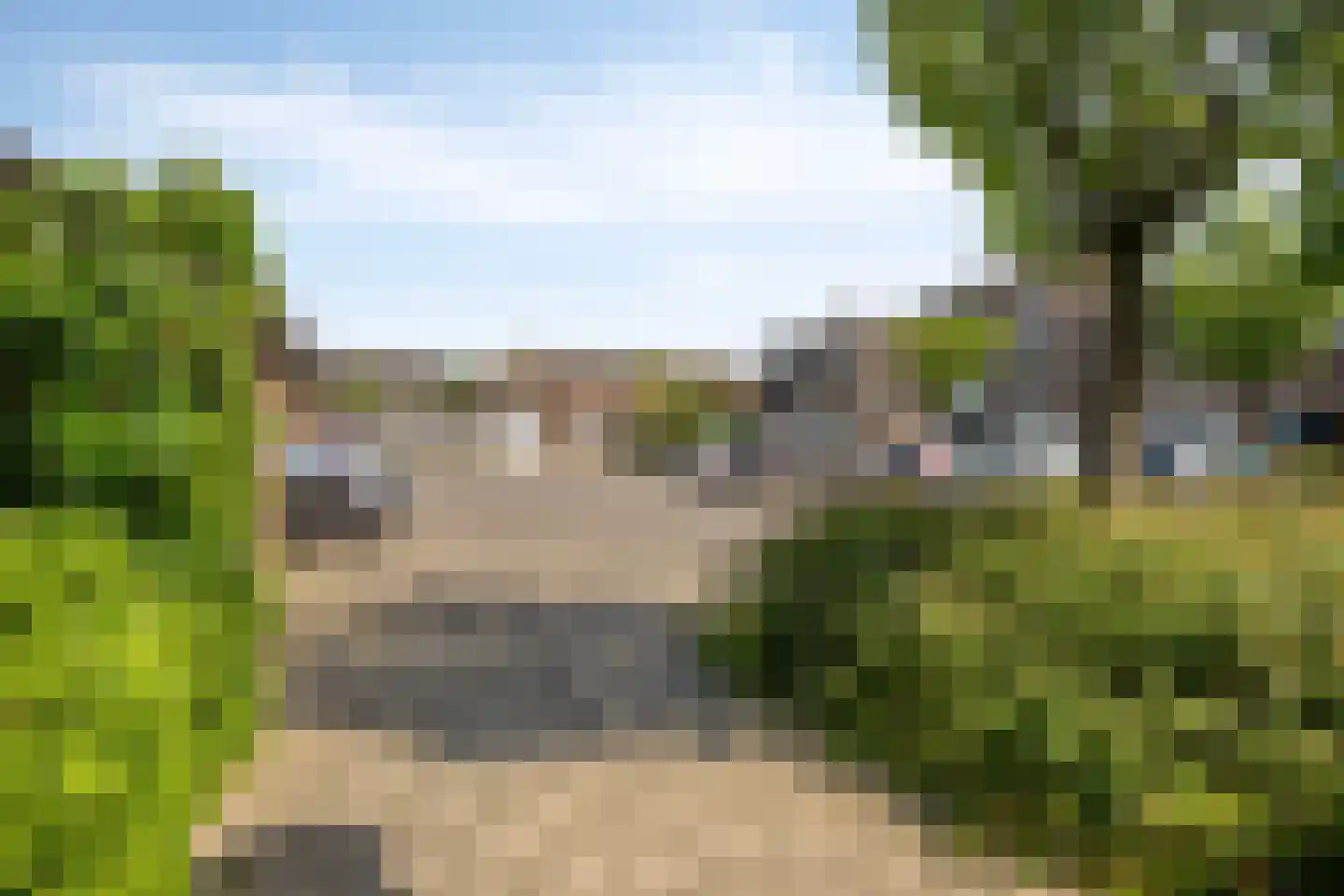 Silene 84 Kampen thumbnail 37