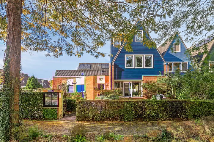 Silene 87 in Kampen Foto