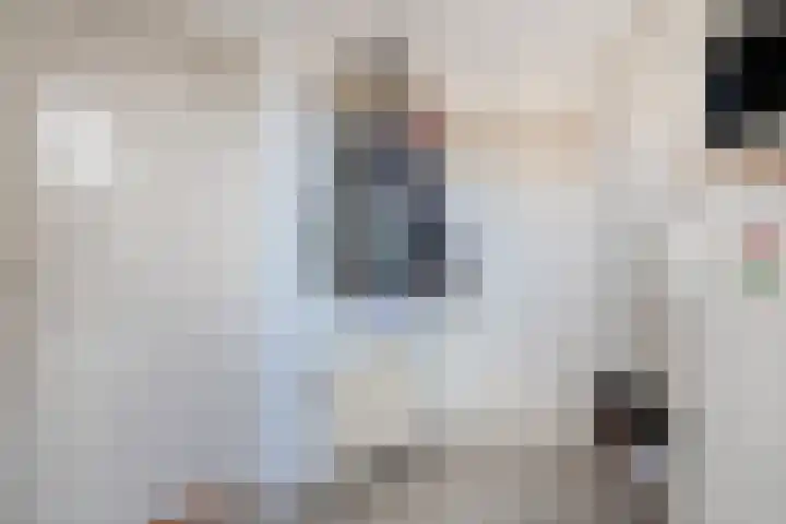 Silene 87 Kampen thumbnail 11