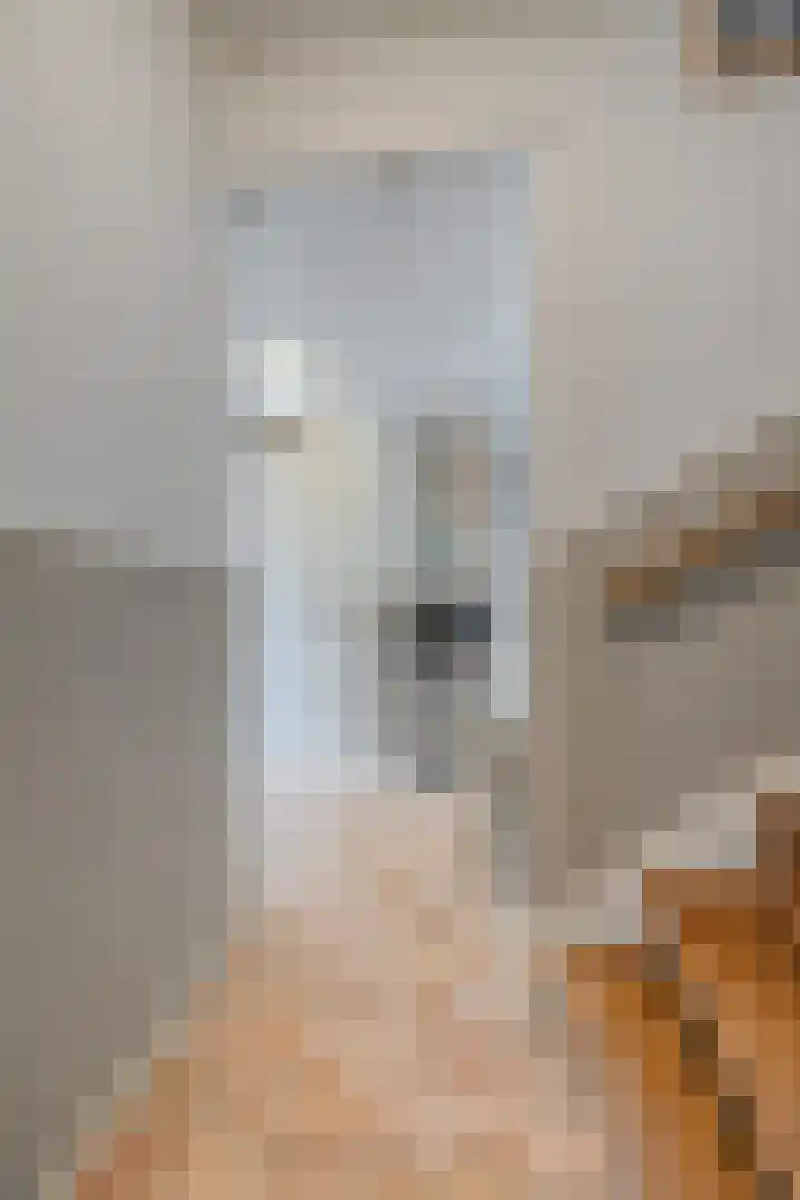 Silene 87 Kampen thumbnail 13