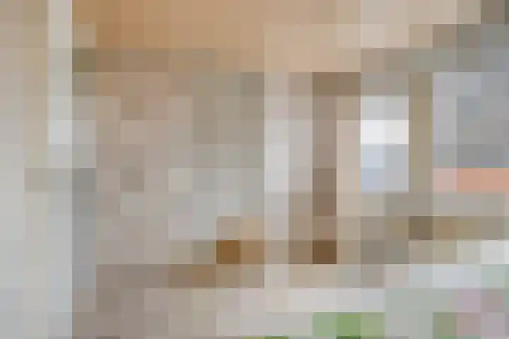 Silene 87 Kampen thumbnail 15