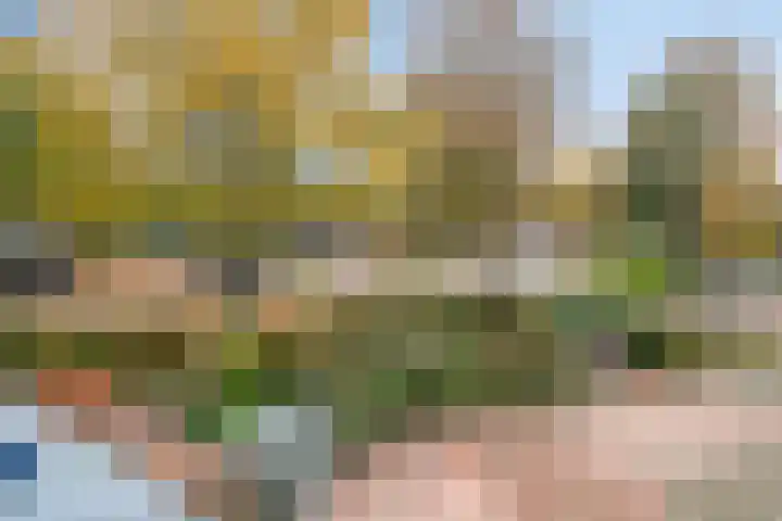 Silene 87 Kampen thumbnail 34