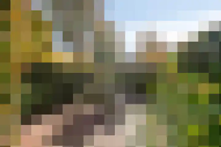 Silene 87 Kampen thumbnail 37