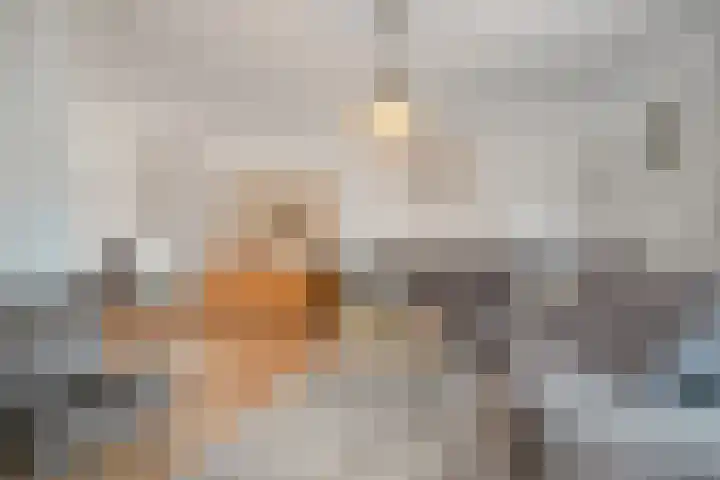 Silene 87 Kampen thumbnail 4