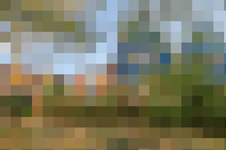 Silene 87 Kampen thumbnail 40