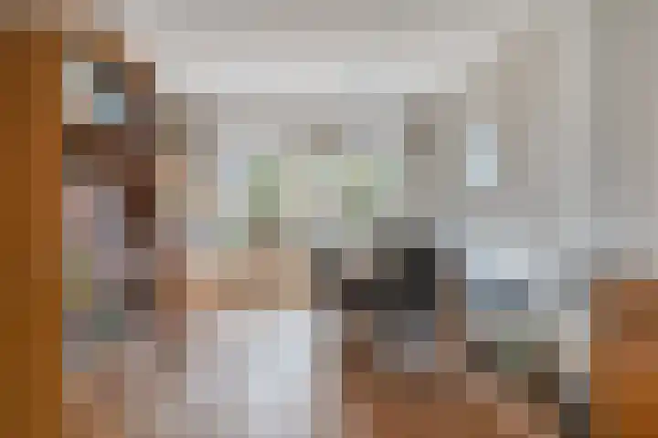 Silene 87 Kampen thumbnail 6