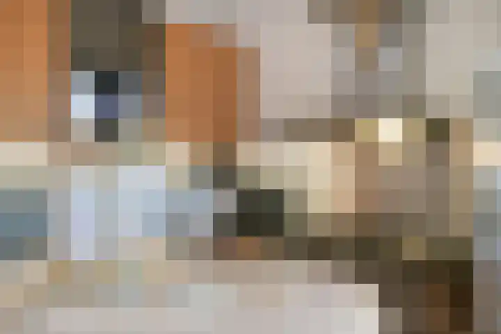 Silene 87 Kampen thumbnail 9