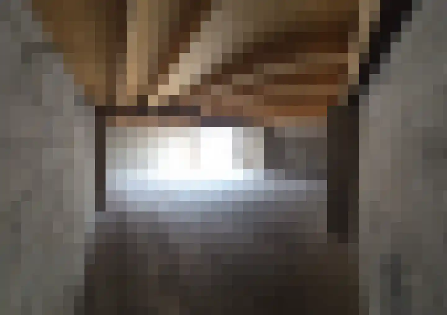 Silenenstraat 26 J 's-Hertogenbosch thumbnail 4
