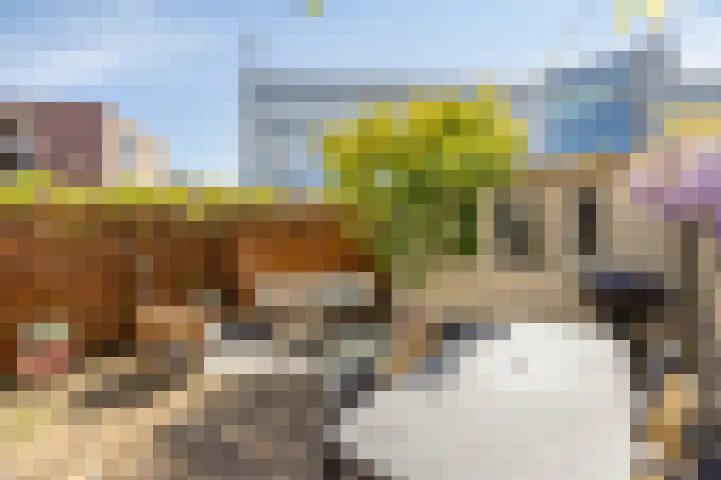 Silenenstraat 28 's-Hertogenbosch thumbnail 10
