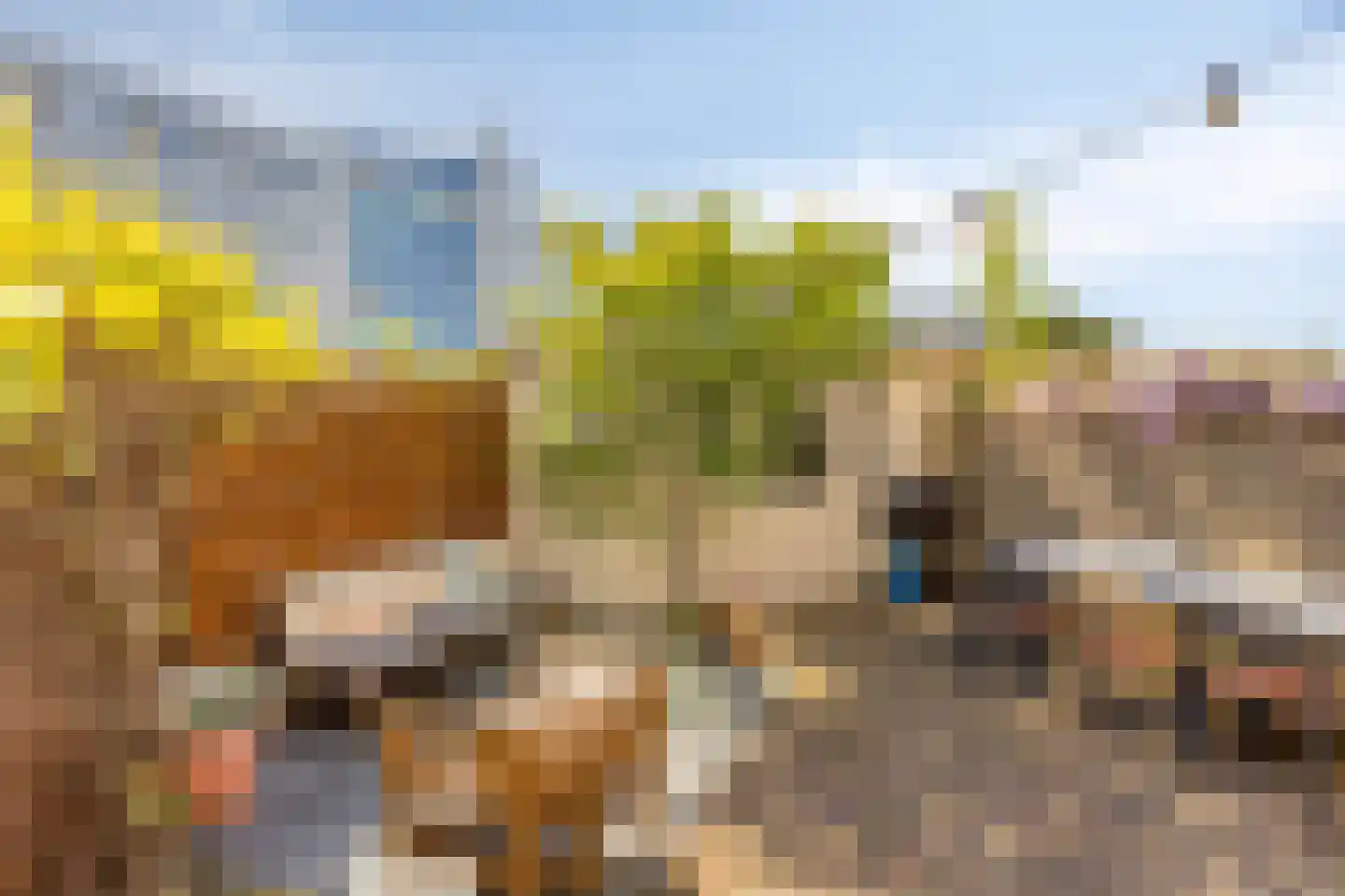 Silenenstraat 28 's-Hertogenbosch thumbnail 11