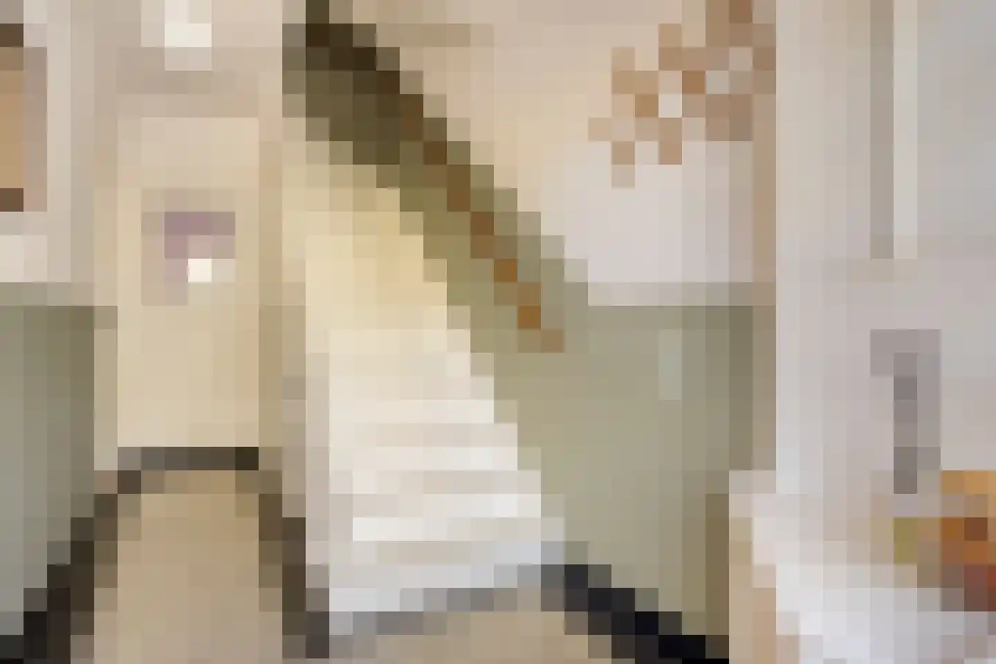 Silenenstraat 28 's-Hertogenbosch thumbnail 14