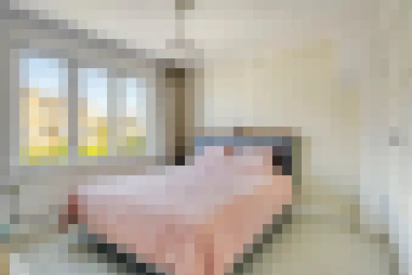 Silenenstraat 28 's-Hertogenbosch thumbnail 15