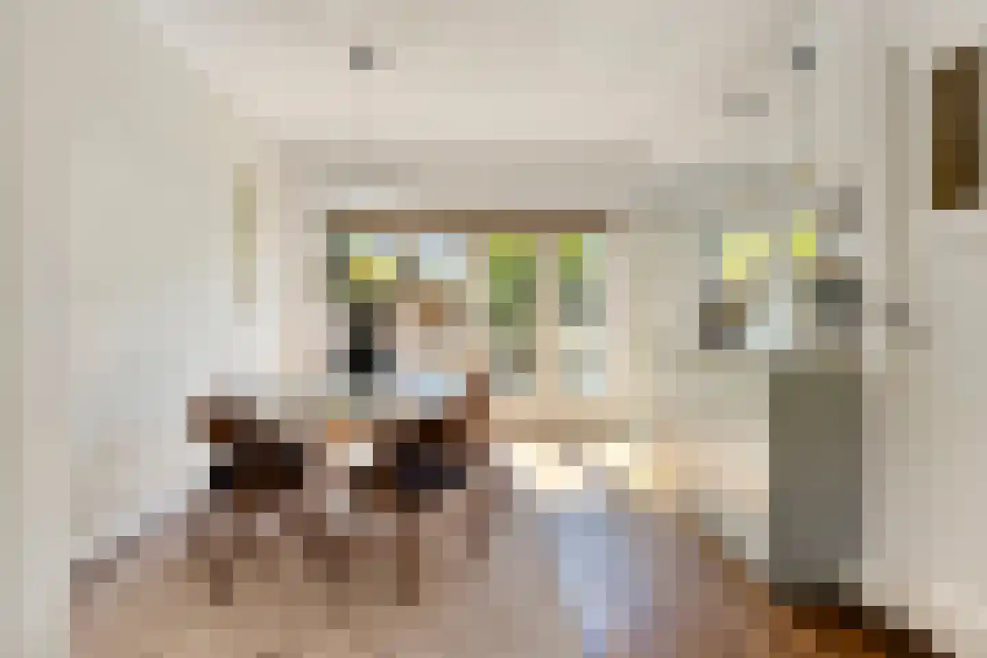 Silenenstraat 28 's-Hertogenbosch thumbnail 7