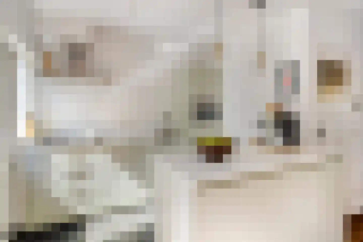 Silenenstraat 28 's-Hertogenbosch thumbnail 8