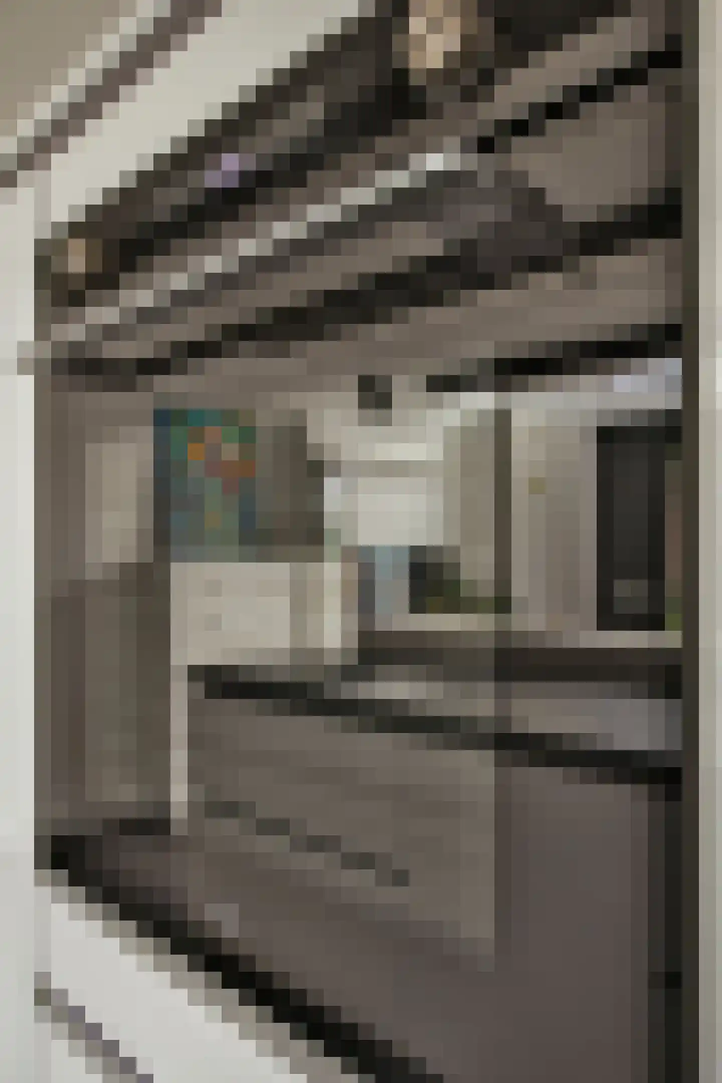 Silenestraat 15 D Hilversum thumbnail 13