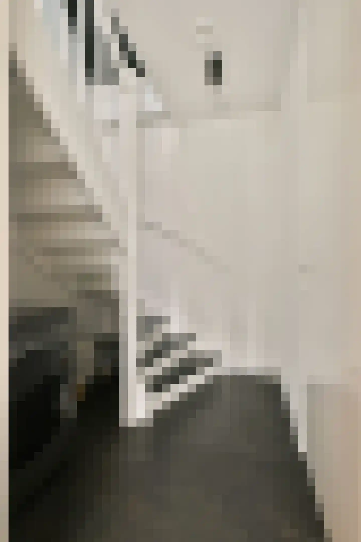 Silenestraat 15 D Hilversum thumbnail 16