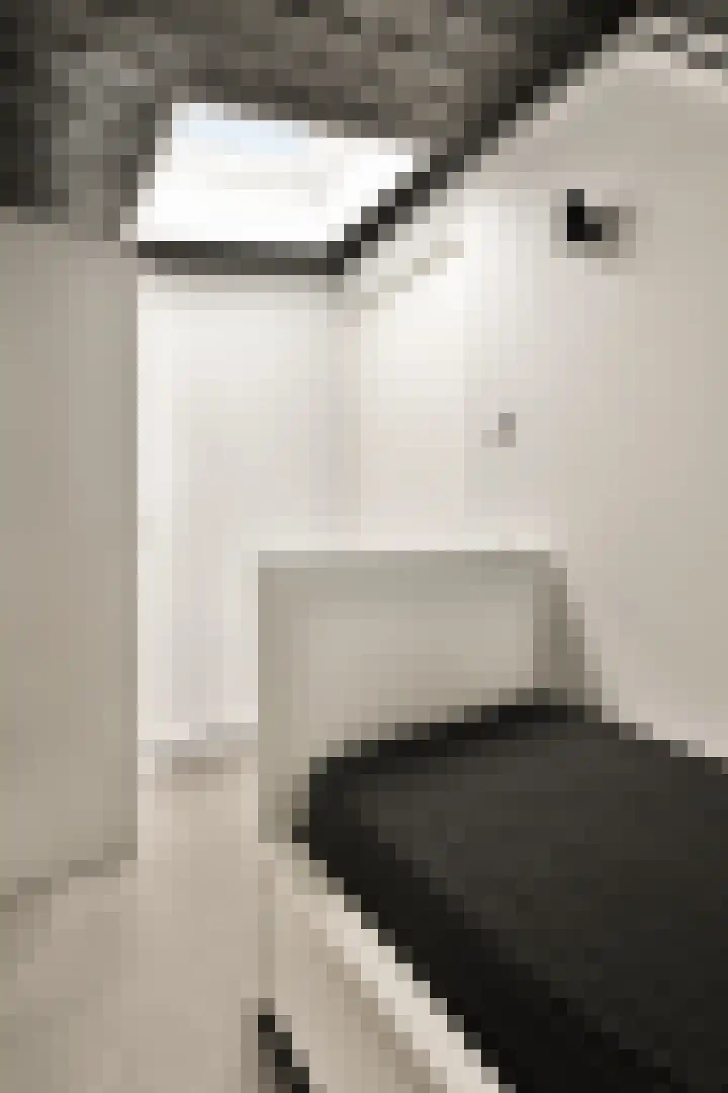 Silenestraat 15 D Hilversum thumbnail 26