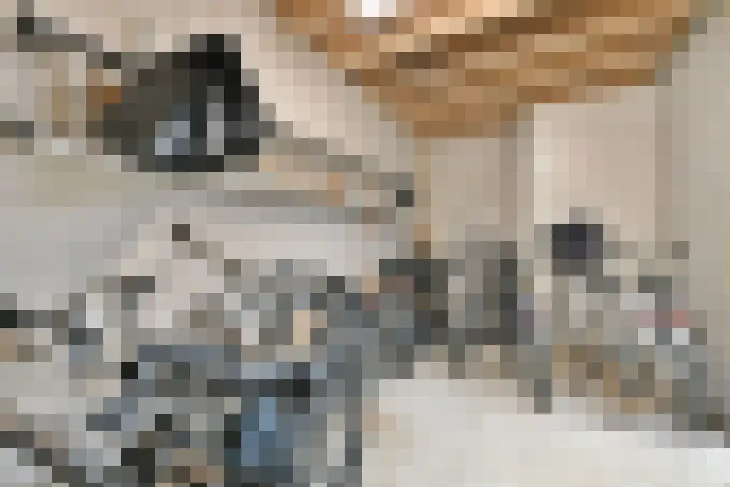 Silenestraat 15 D Hilversum thumbnail 30