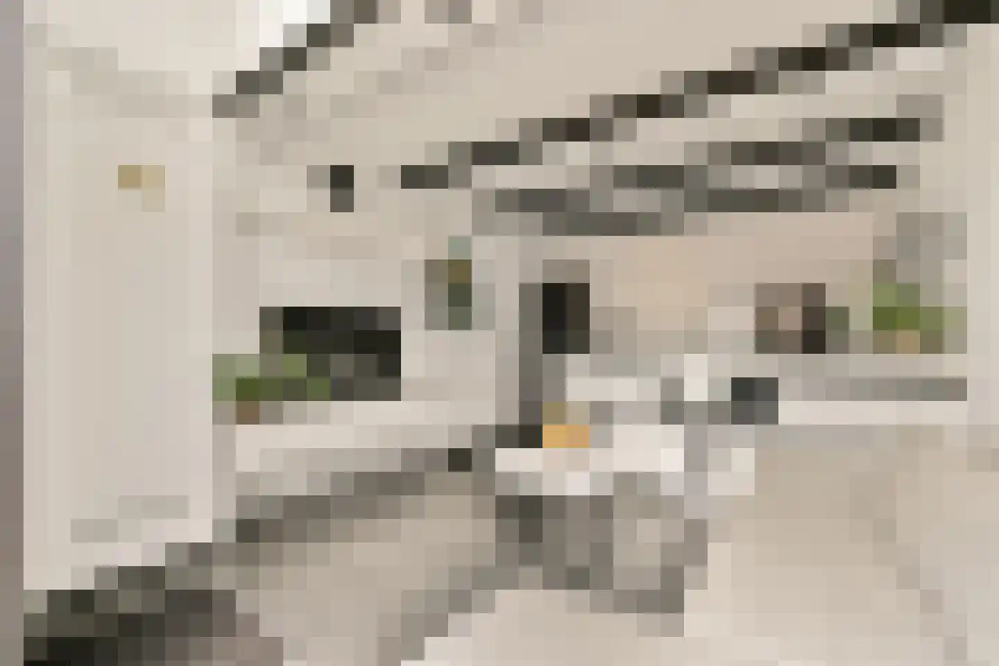 Silenestraat 15 D Hilversum thumbnail 8