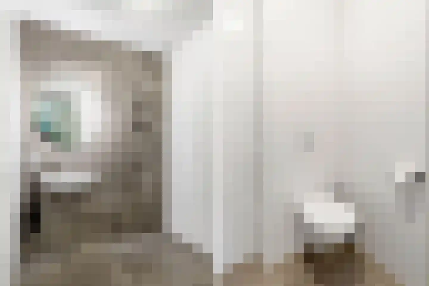 Silenestraat 15 E Hilversum thumbnail 10