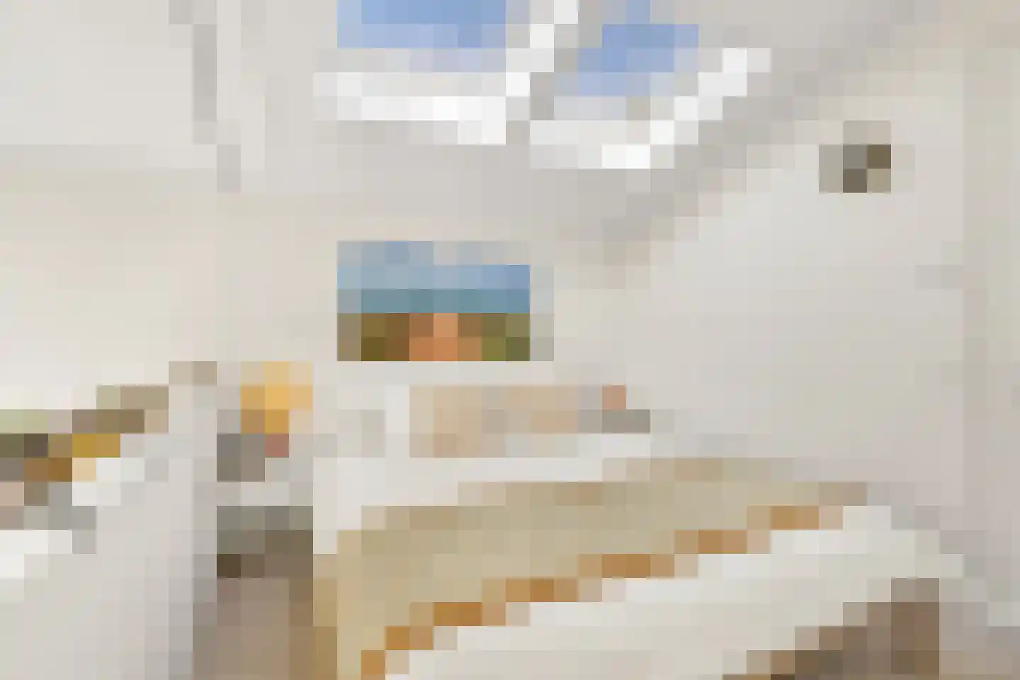 Silenestraat 15 E Hilversum thumbnail 14