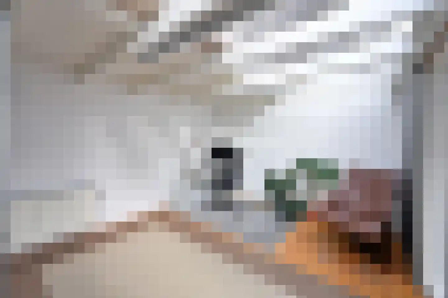 Silenestraat 24 Hilversum thumbnail 12