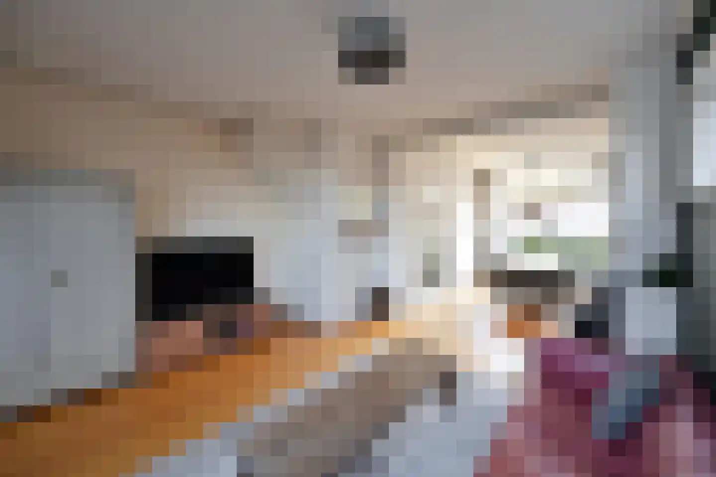 Silenestraat 24 Hilversum thumbnail 7