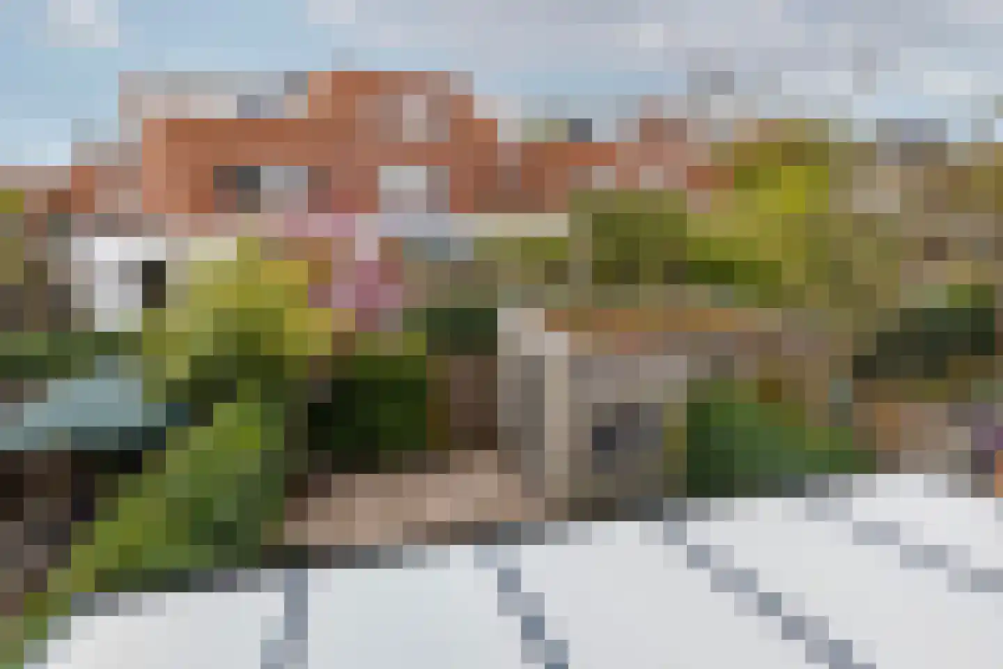 Silenestraat 3 Rotterdam thumbnail 37