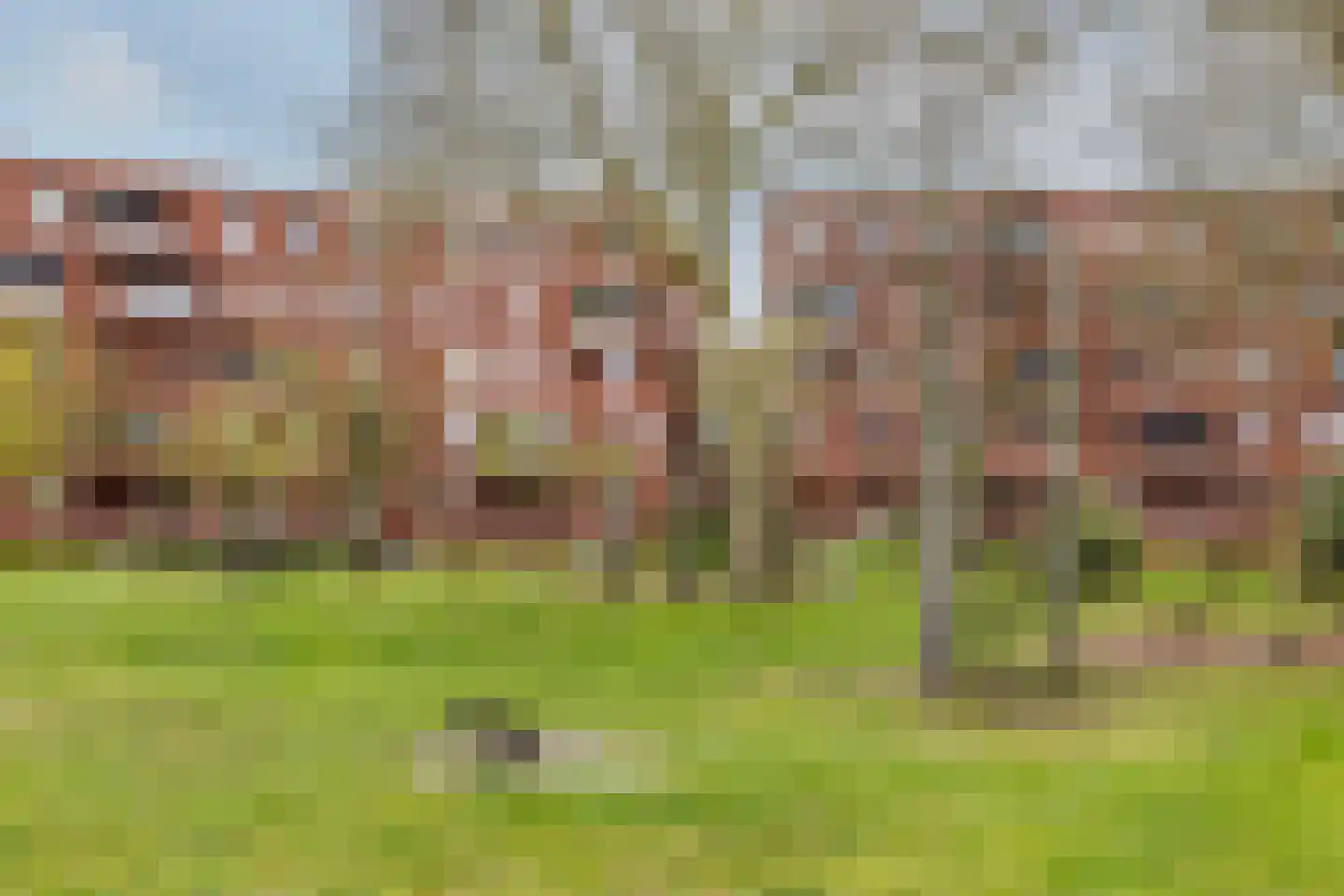 Silenestraat 3 Rotterdam thumbnail 42