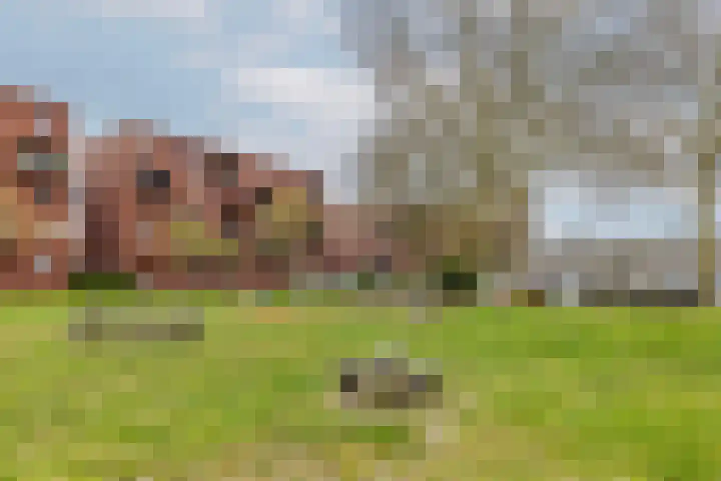 Silenestraat 3 Rotterdam thumbnail 43