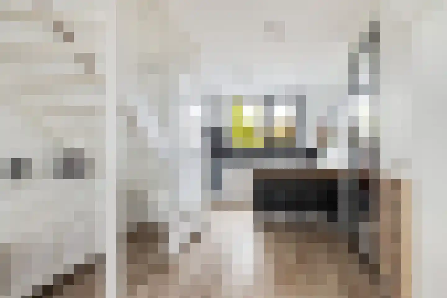 Silenestraat 3 Rotterdam thumbnail 9