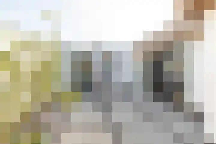 Silenestraat 32 A Hilversum thumbnail 22