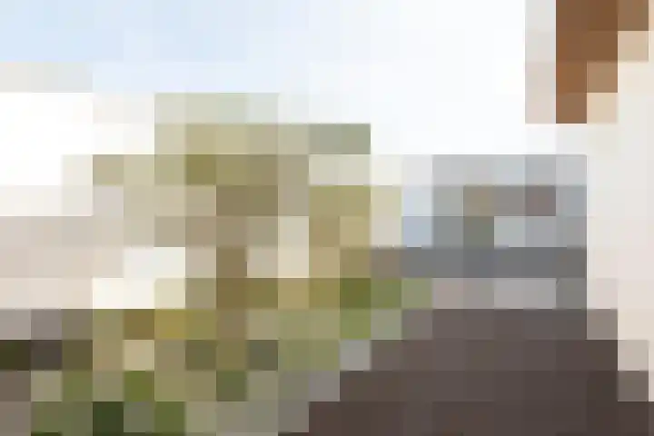 Silenestraat 32 A Hilversum thumbnail 28